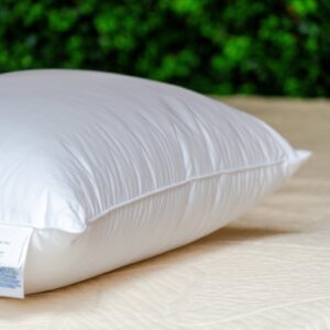 Pude - Skum | Allerban 60x45